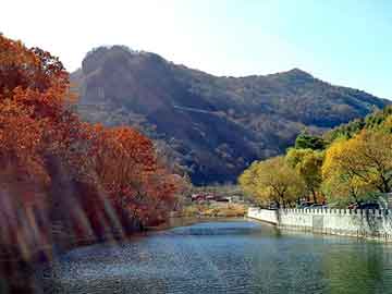 新澳天天开奖资料大全旅游团，胡晨 优酷